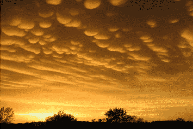 Mammatus