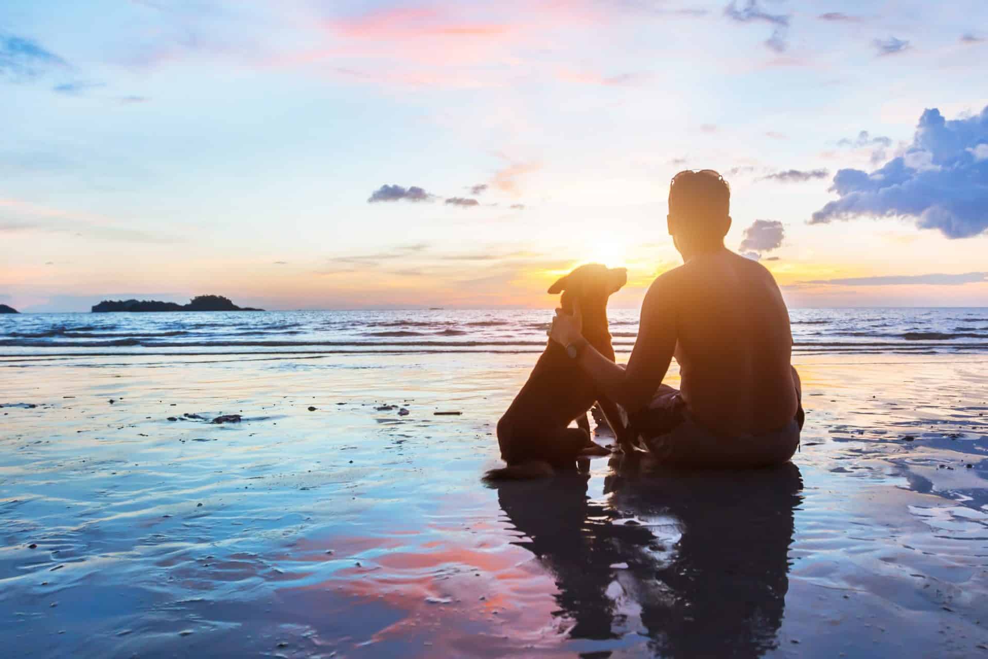 How Do Animals Protect Themselves from the Sun?
