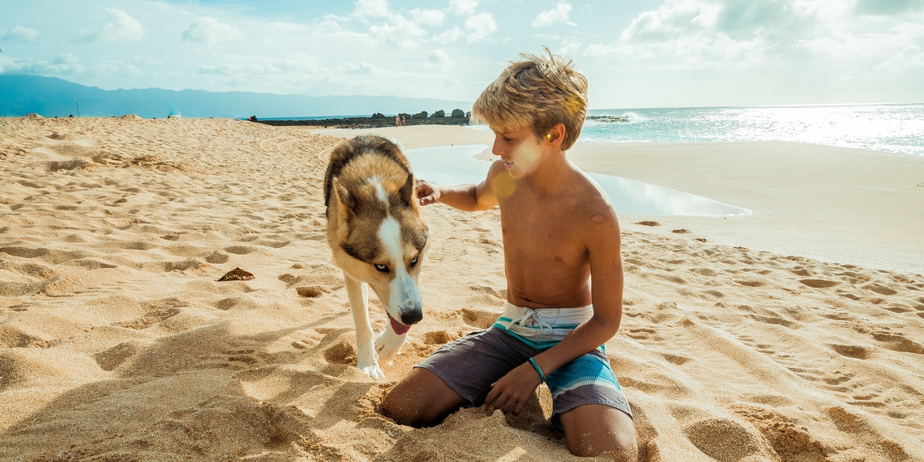 Comment les animaux se protègent-ils du soleil ?