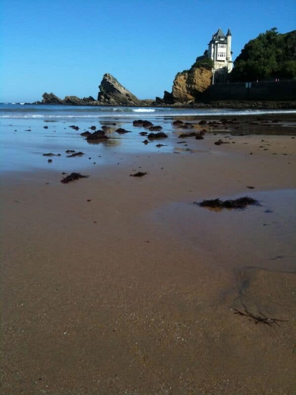 algues sur le sable à Biarritz