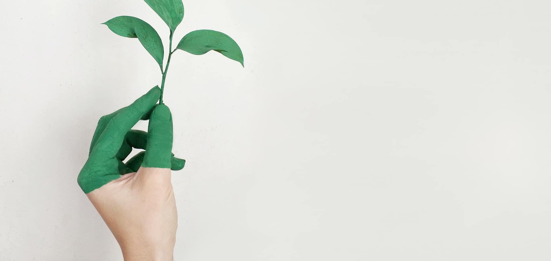 Transition écologique : nos emballages évoluent