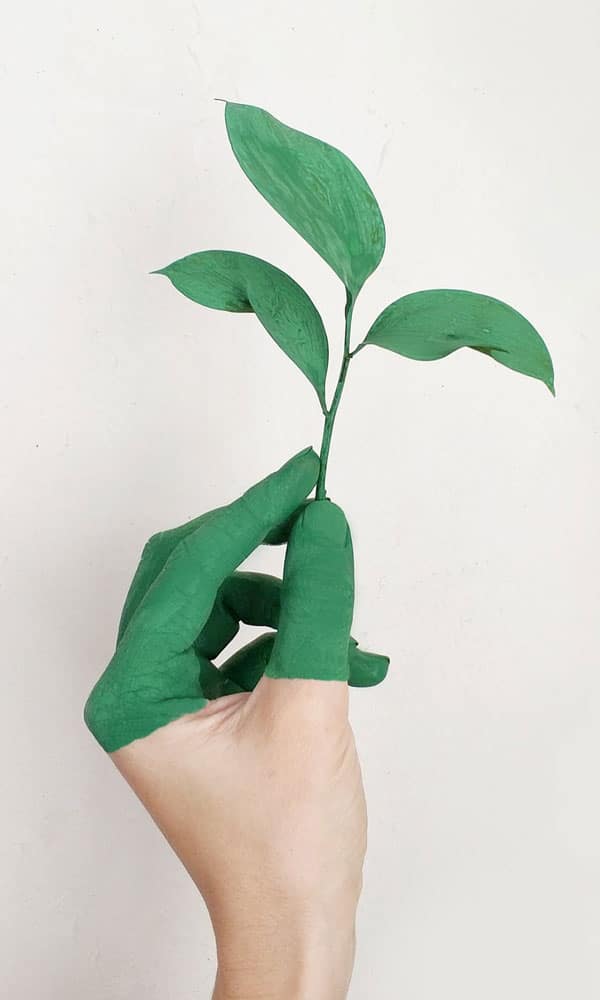 main verte qui tient feuille