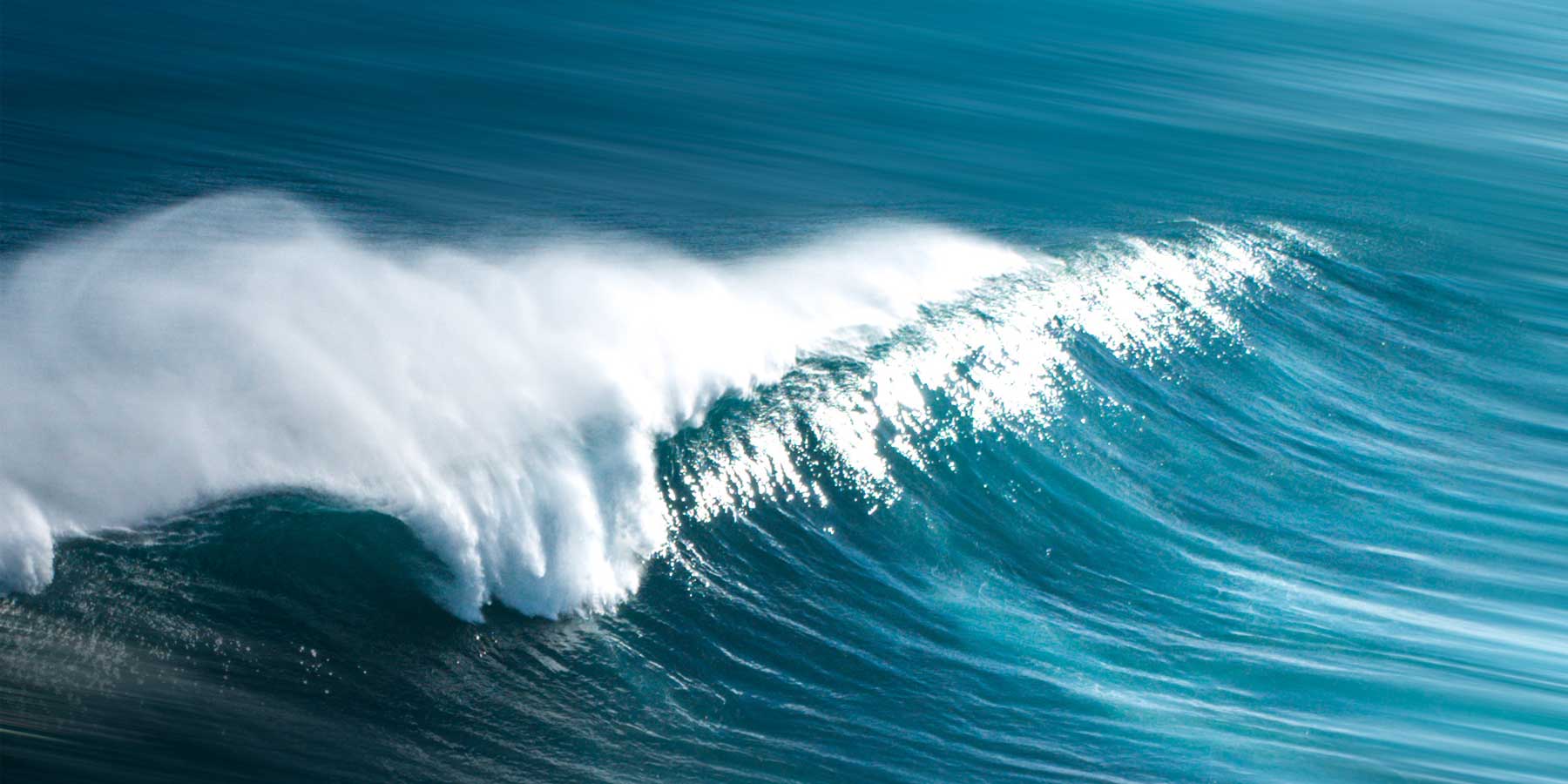 Les Laboratoires de Biarritz engagés depuis 10 ans pour les océans