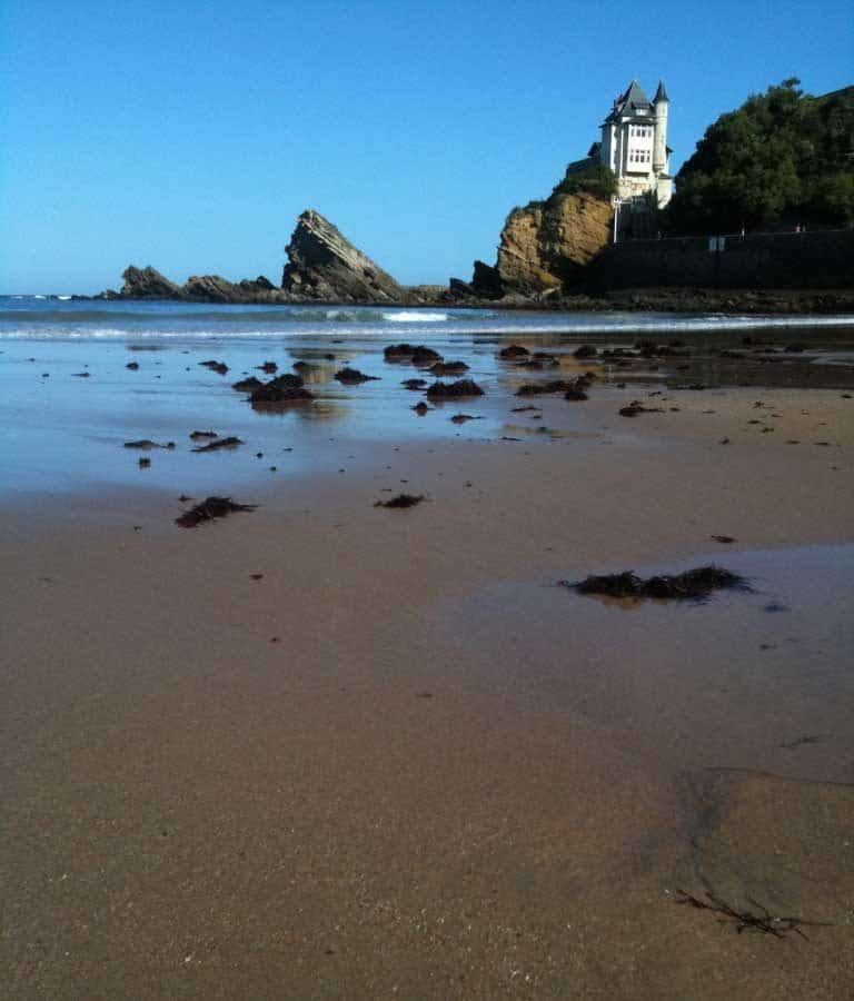 Algues rouges échoués sur le sable Biarritz