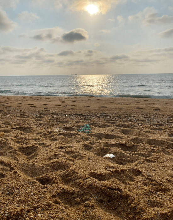 Polluion sur la plage - Engagements des Laboratoires de Biarritz