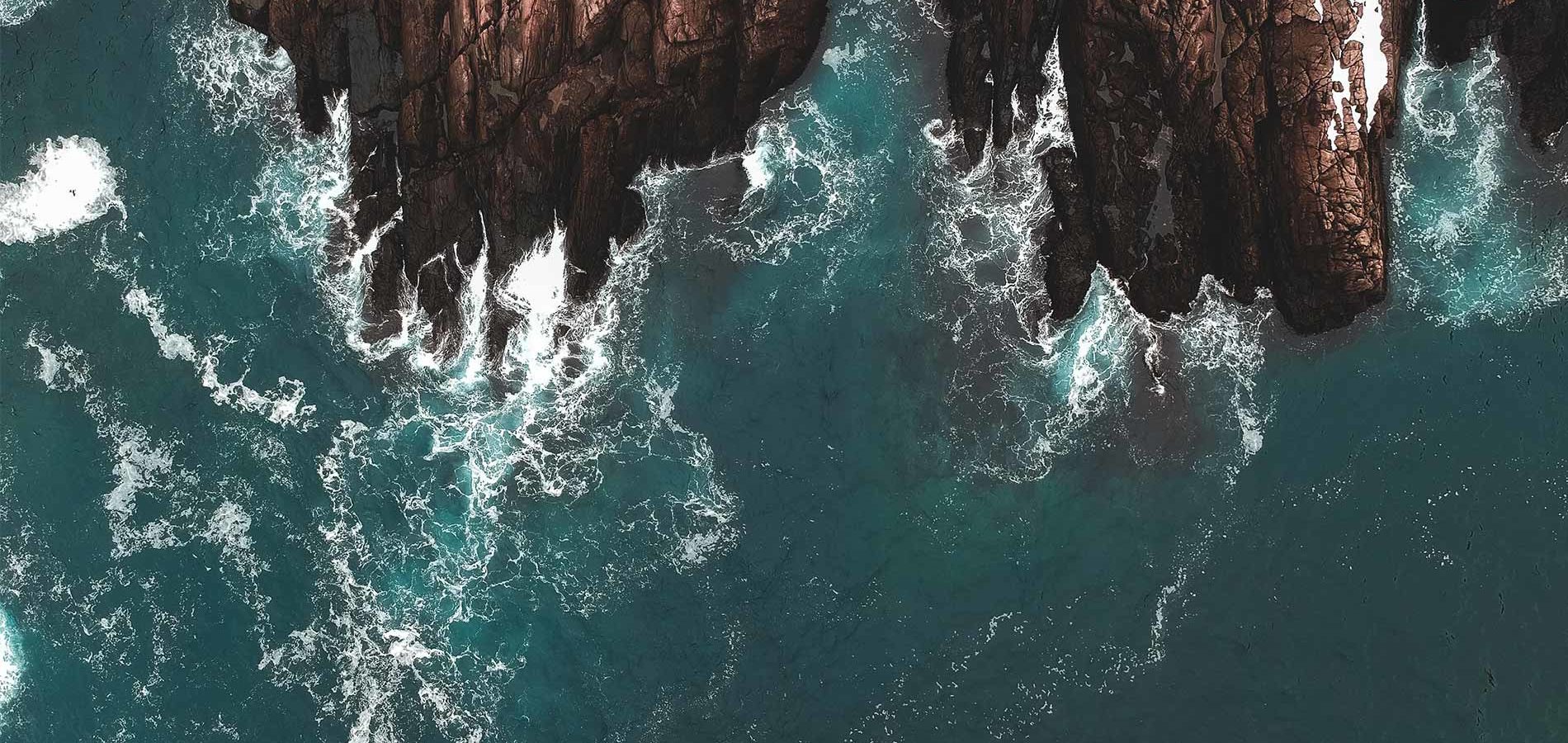 Rejoignez-nous sur les côtes Atlantiques françaises, à la rencontre des cellules de Laminaria Saccharina