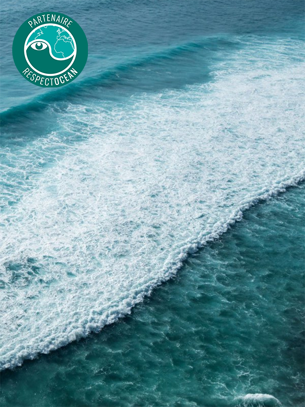 Protecting the Oceans and the Coasts