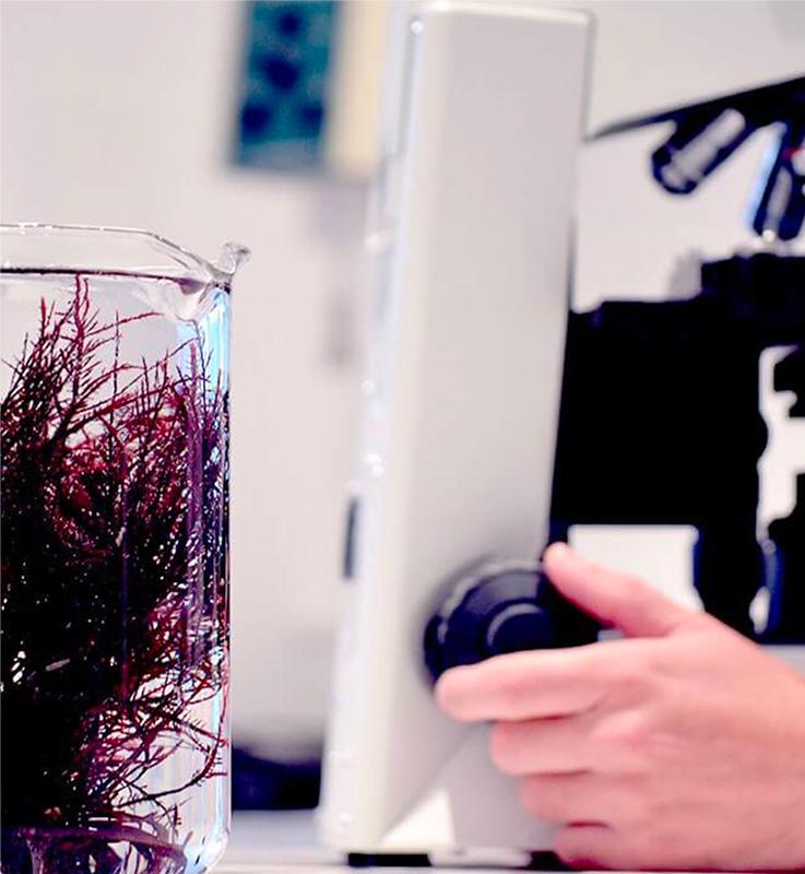 Une R&D impliquée chaque jour